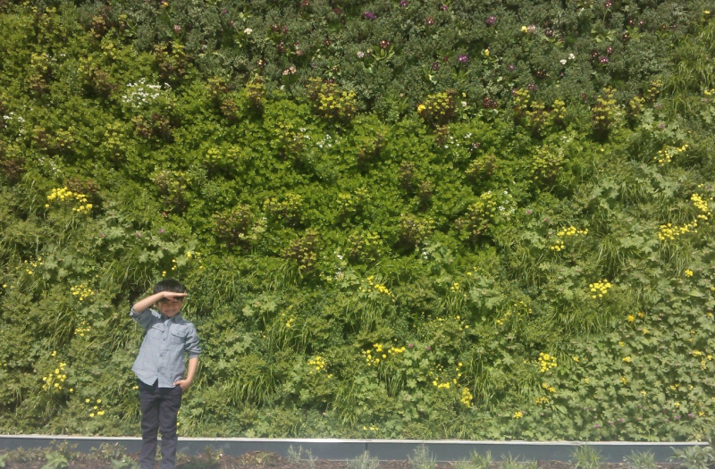 Green wall at Birmingham New Street Station - credit to Qsustain