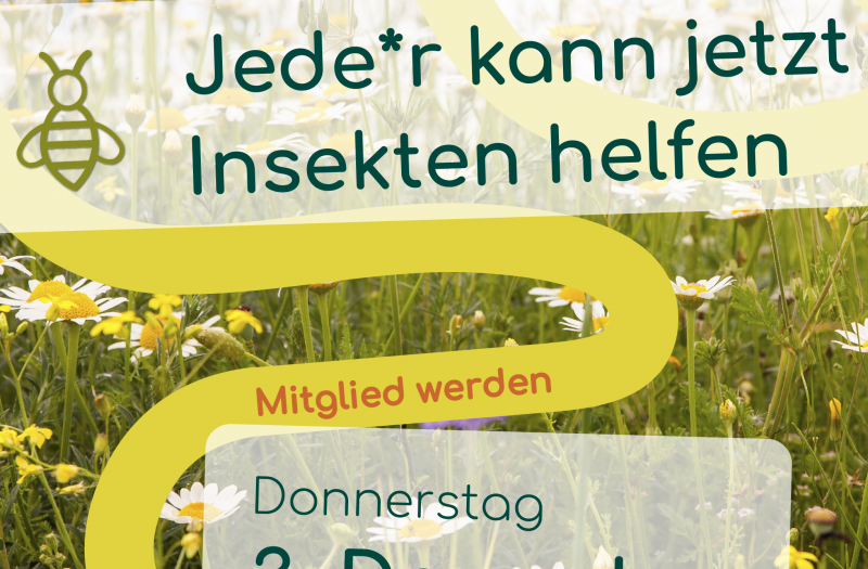 Invitation for the first online information meeting for Naturfelder Dortmund e.V. 