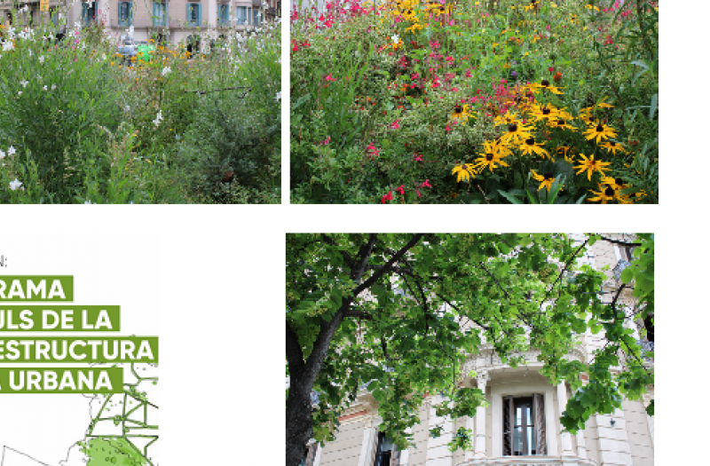 Renaturing Barcelona: various green typologies in the centre of the city. Bellow, on the left: Cover of the government measure “The Programme for Enhancing the Urban Green Infrastructure”. Photo captures: Corina Basnou.