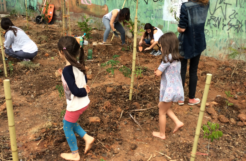 Example of a forest restoration planned and conducted by activists and local engaged population in the city of São Paulo (image courtesy by Ricardo Cardim).