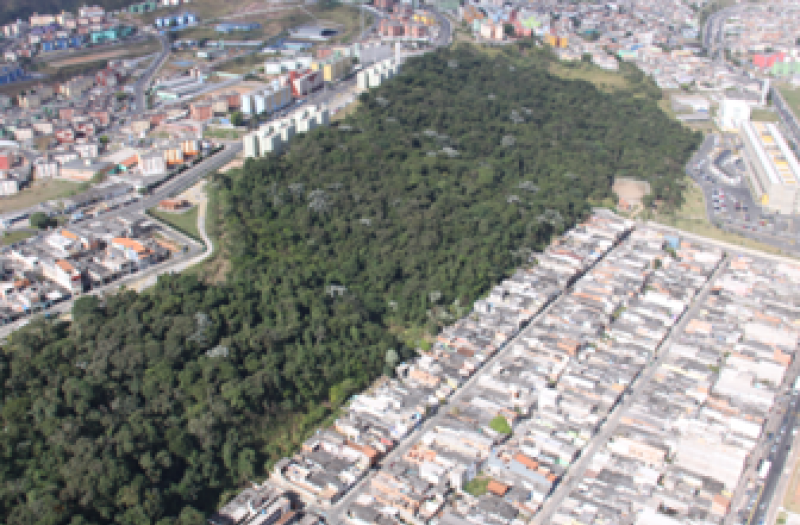 Green Corridor between Ciência and Consciência Negra Parks. Photo credits: Prefeitura Municipal de São Paulo, 2022.