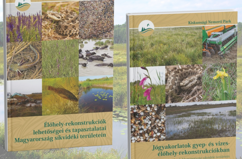 Élőhely-rekonstrukciók lehetőségei és tapasztalatai, valamint jógyakorlat gyűjtemény Magyarország síkvidéki területeihez kapcsolódóan