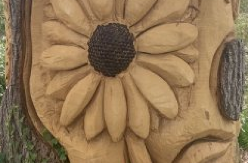 Sunflower carved into tree trunk