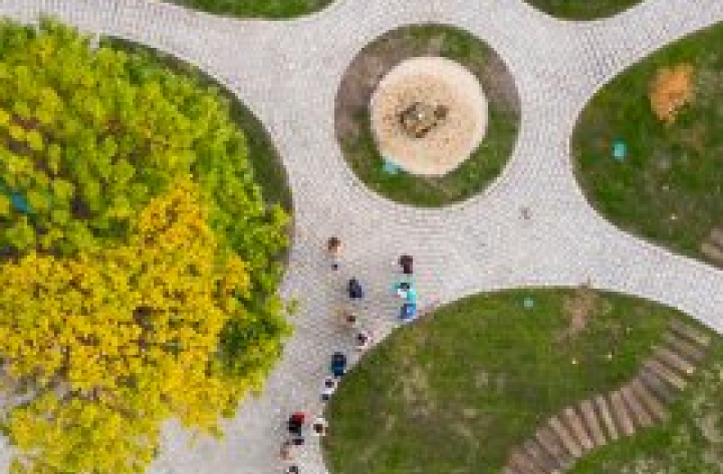Aerial view of path radiating from a centre point with grassland between the paths