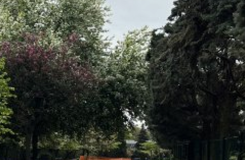 Gravel avenue with formal tree planting at either side