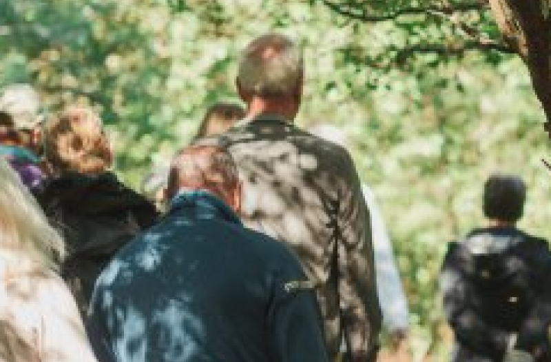 People walking away from the camera in woodland