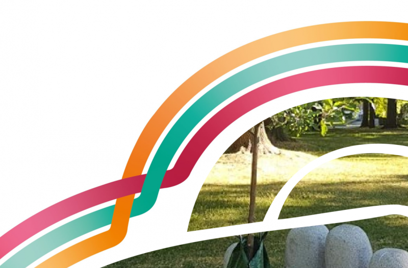 Report cover of Overview of policy instruments enabling restorative nature-based solutions with business case examples (D3.6)