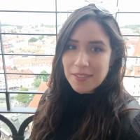 karen.naciph@iclei.org