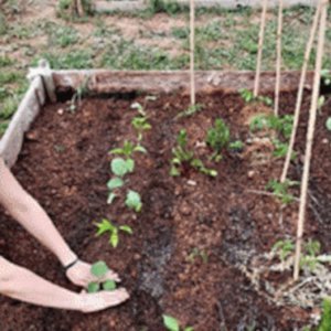 Three lessons for co-creating nature-based solutions: How can we build natural networks to deliver the deal with stakeholders? 