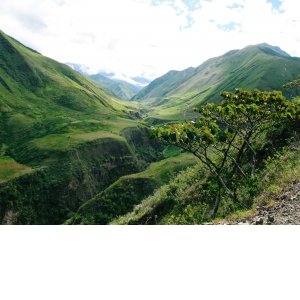 Unsplash: Reiseuhu Unsplash: Reiseuhu