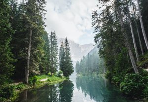 Luca Bravo, Unsplash Luca Bravo, Unsplash