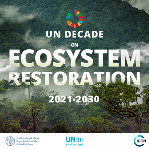 Restoring Urban Spaces Designing Future Proof Cities Un Decade Launch Event On 1 June 21 Networknature Restoring Urban Spaces Designing Future Proof Cities Un Decade Launch Event On 1 June 21 Networknature