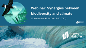 Webinar, Synergies between biodiversity and climate 