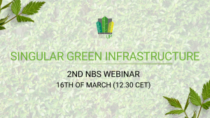 Webinar on Singular Green Infrastructures