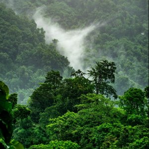 Boudhayan Bardhan, Unsplash Boudhayan Bardhan, Unsplash