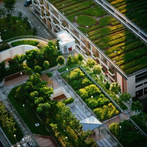 Urban Nature Based Solutions Urban Nature Based Solutions