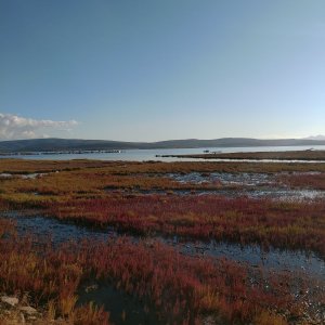 Gokberk Akdeniz, Unsplash Gokberk Akdeniz, Unsplash