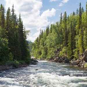 NATURAL CLIMATE SOLUTIONS CAN HELP BUSINESSES MEET CLIMATE GOALS NATURAL CLIMATE SOLUTIONS CAN HELP BUSINESSES MEET CLIMATE GOALS