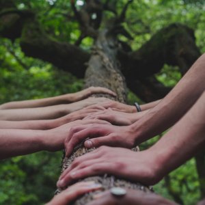 Shane Rounce, Unsplash Shane Rounce, Unsplash