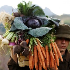 Sp Farmer, credit: The Flying Dutchman Sp Farmer, credit: The Flying Dutchman