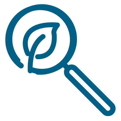 Magnifying glass icon