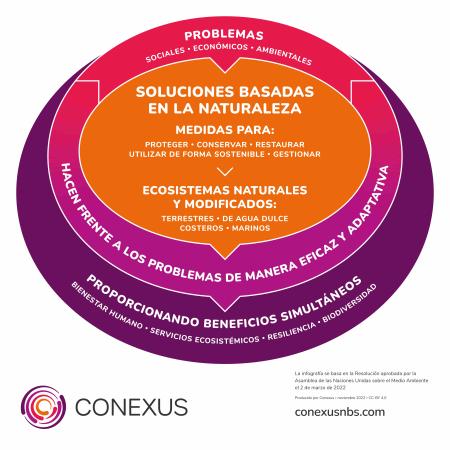 NBS infographic (ES)