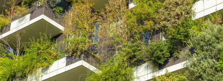 Balconies with plants