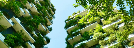 Highrise buildings with green walls