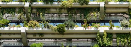 Balconies with plants and trees