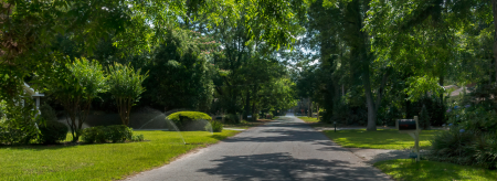 Road with trees and grass