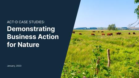 ACT-D case studies report cover