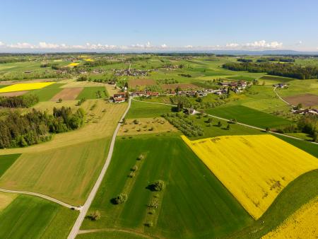 birds-eye-view-fields-green-blue-sky