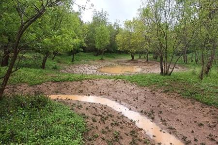 Ponds created as part of the rewilding of the Vinhas river.