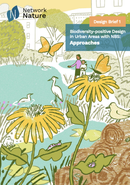 network nature design brief 