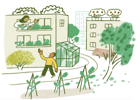 Network Nature Design Brief series