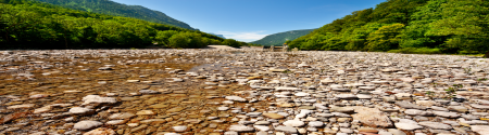 Dry river bed with trees either side