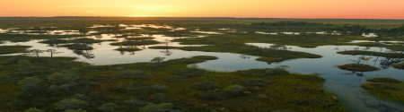 Wetland at sunset