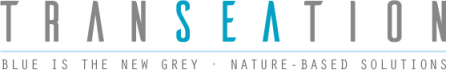 TRANSEATION project logo