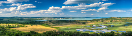 Wetland in a landscape