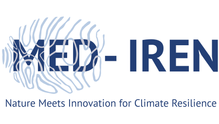 MED-IREN logo - thumbprint shape over white background with navy blue text