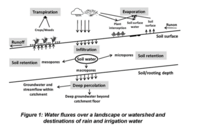 water fluxes over a landscape or watershed