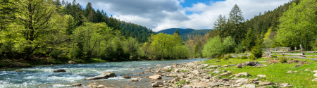 Tree lined river with rocky banks and mountains in the distance