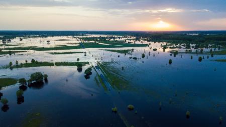 Wetlands