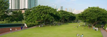 green space with surrounding trees in the middle of a city