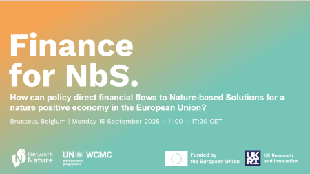 Finance for NbS banner - gradient of yellow to blue with event details in white text