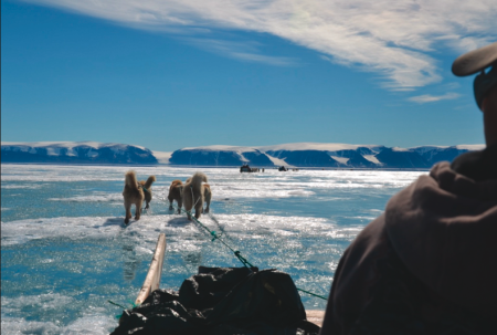 biodivclim - ice landscape with dogs