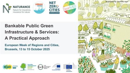 Bankable Public Green Infrastructure & Services: A Practical Approach