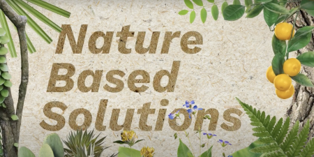 nature-based solutions with greenery 