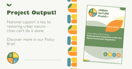 UNP policy brief 