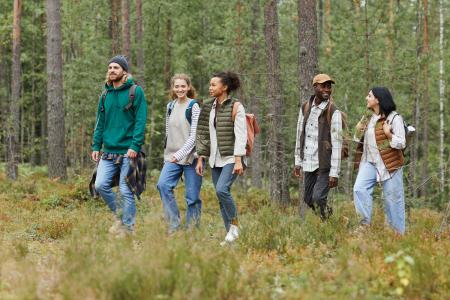 People walking in a forest